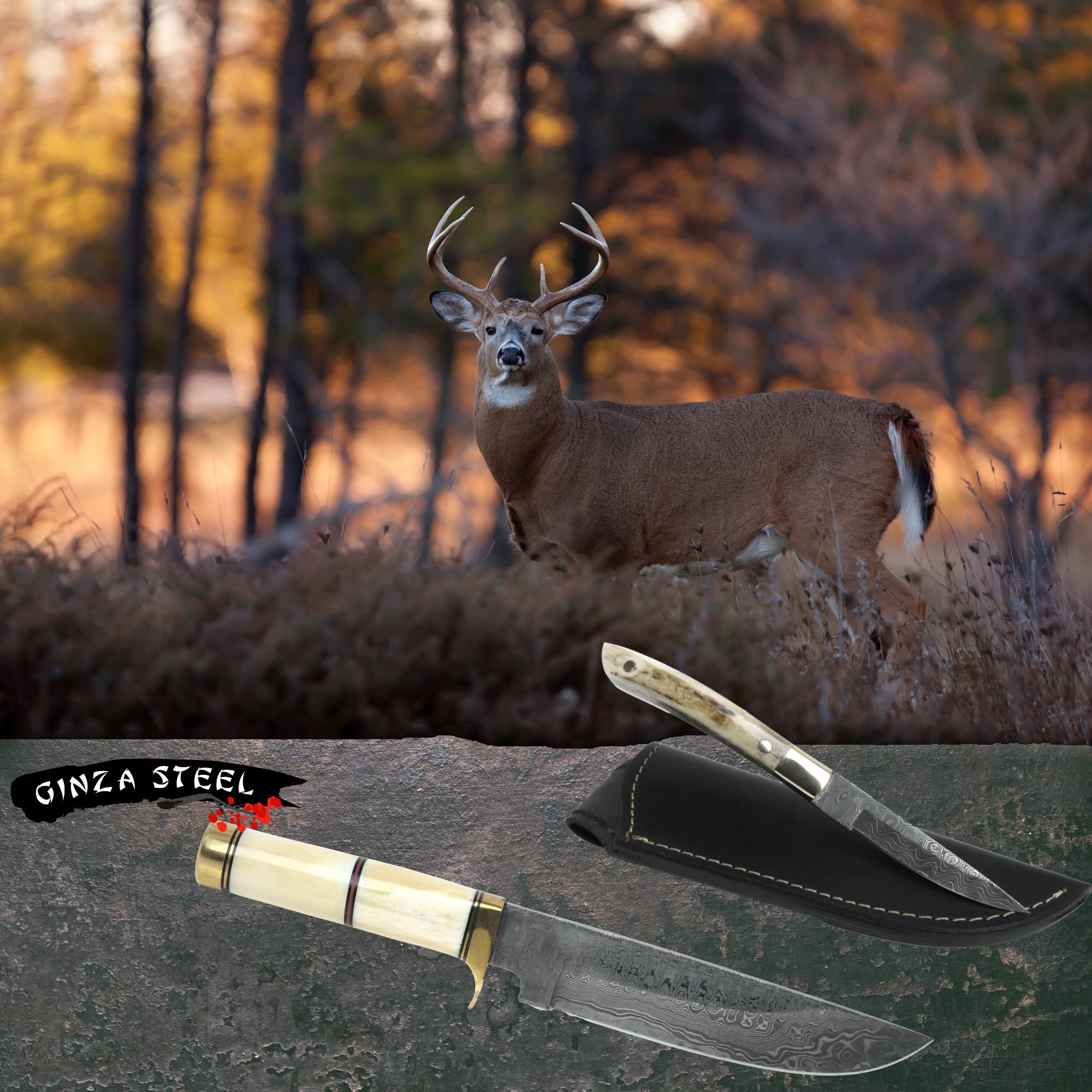 Ginza Steel Outdoor Knives, hunting knife, outdoor knives, Ginza sports knife, sports knife, folder, survival knife