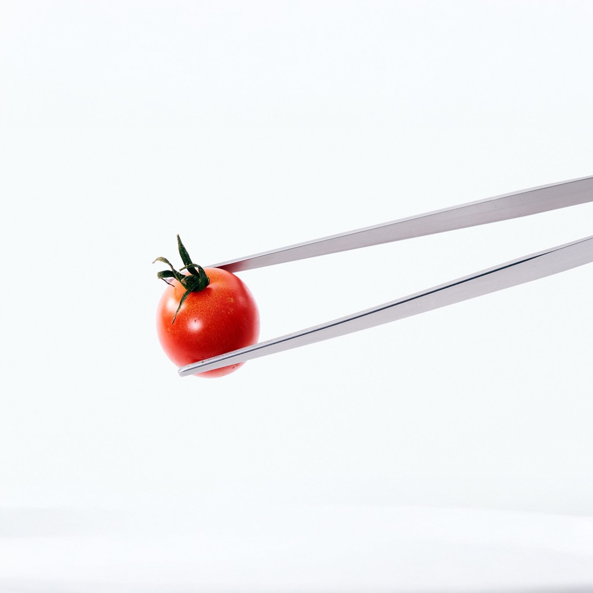 Eatoco Japan Stainless Steel Moribashi Bento Tongs holding a small tomato against a light background.