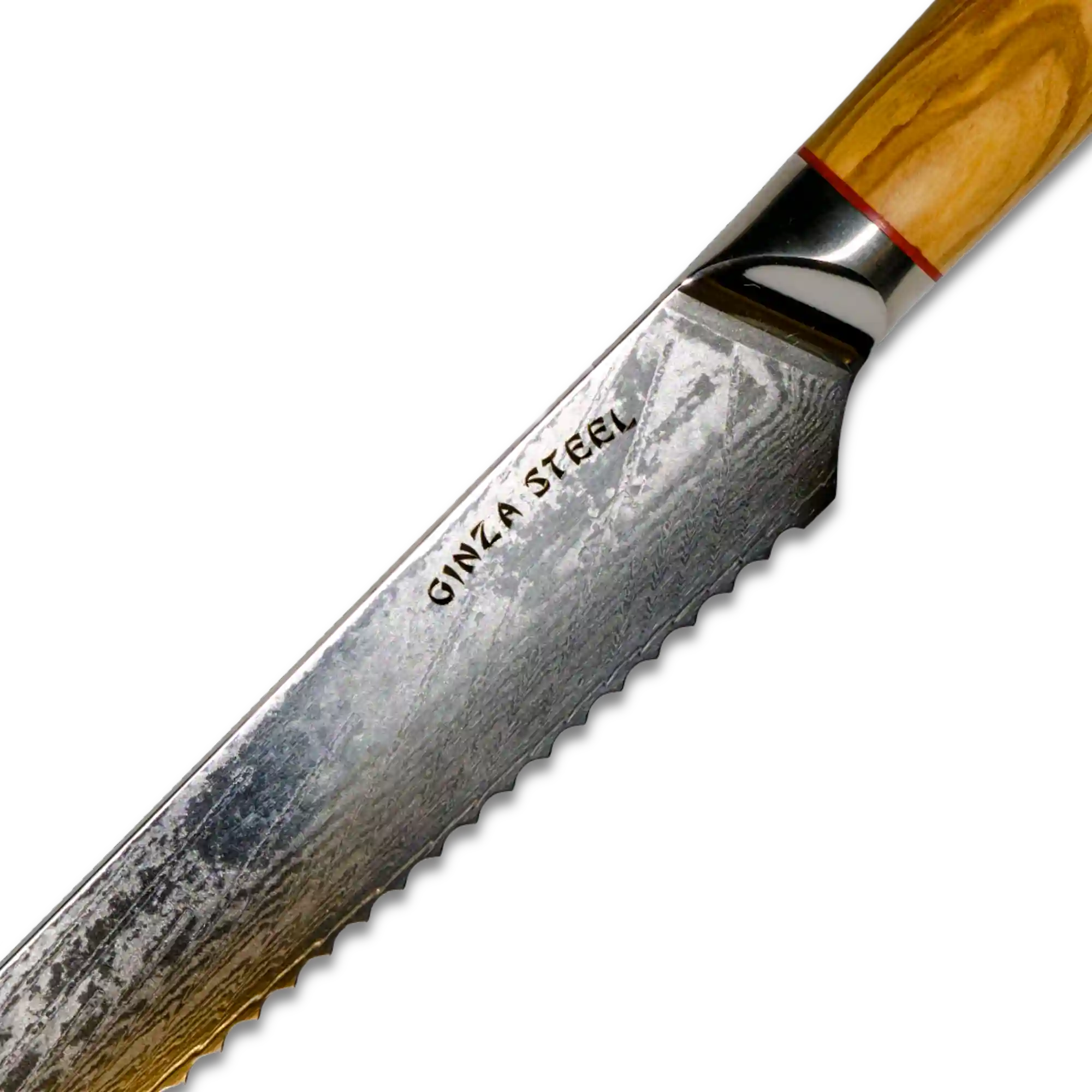 MIA Z | COUTEAU A PAIN 8" Acier Damas AUS10 67 Couches / Manche Bois d'Olivier