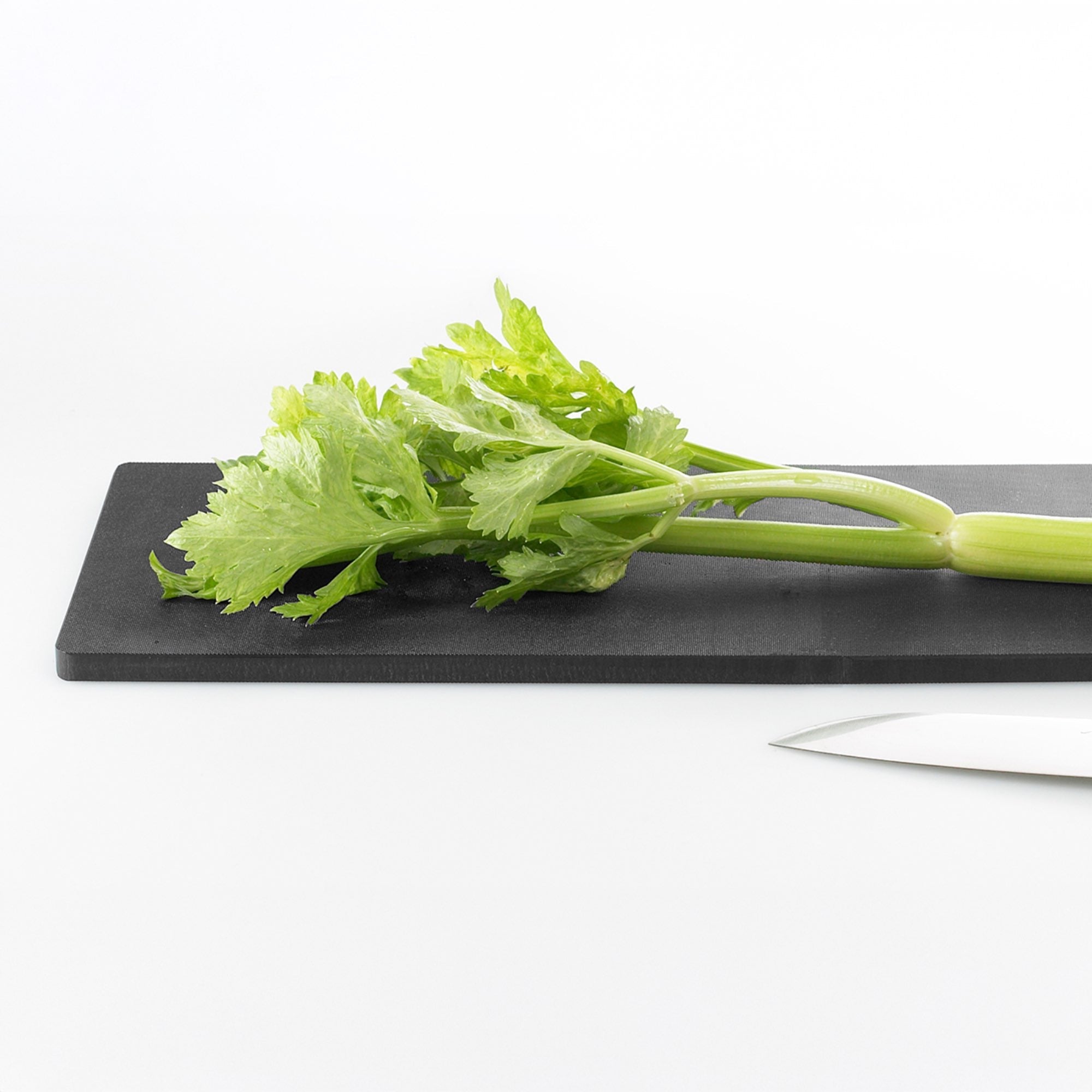 Eatoco Japan Polyethylene Resin Cutting Board  – (390 mm × 170 mm)