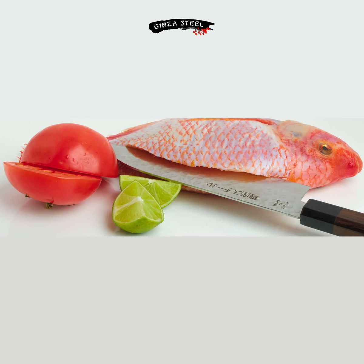 Ginza Steel Takayama 180 - Santoku Knife 180mm Blade | Japan